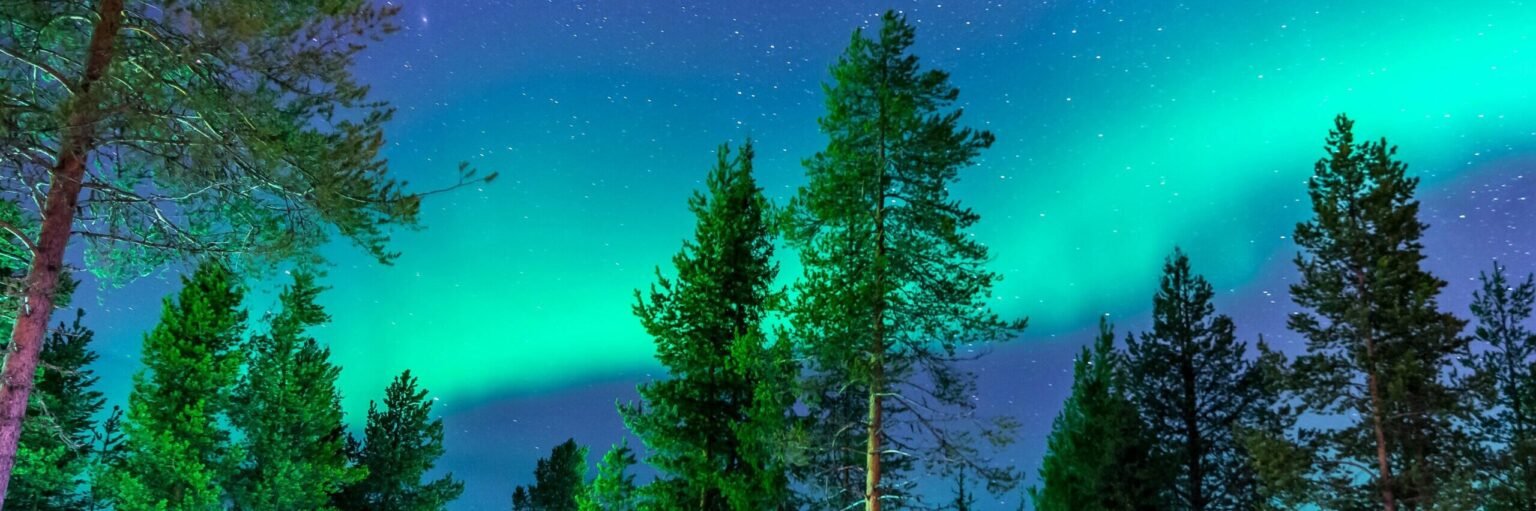 Northern Lights